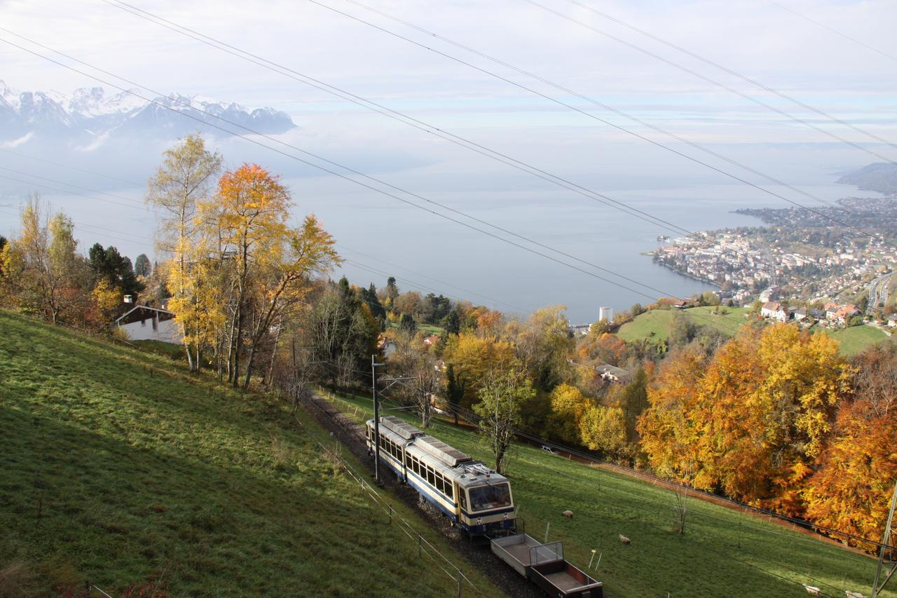 Gais Alpins Villa Montreux Buitenkant foto